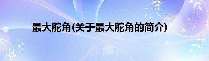 最大舵角(关于最大舵角的简介)