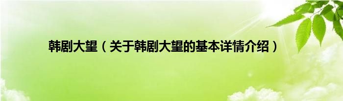 韩剧大望（关于韩剧大望的基本详情介绍）