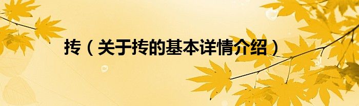 抟（关于抟的基本详情介绍）