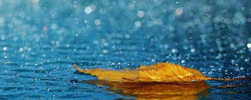 一年级语文雨点儿原文