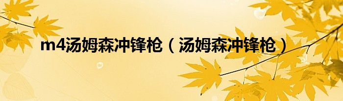 m4汤姆森冲锋枪（汤姆森冲锋枪）