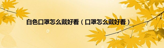 白色口罩怎么戴好看（口罩怎么戴好看）