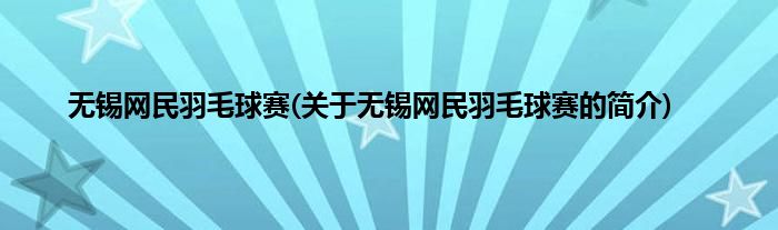 无锡网民羽毛球赛(关于无锡网民羽毛球赛的简介)