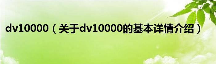 dv10000（关于dv10000的基本详情介绍）