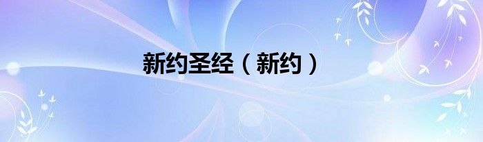 新约圣经（新约）