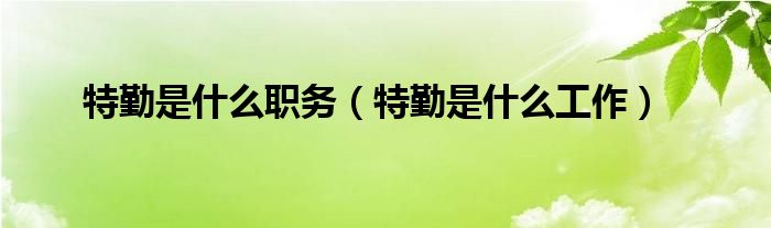 特勤是什么职务（特勤是什么工作）
