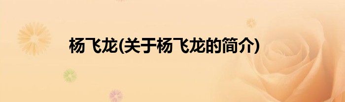 杨飞龙(关于杨飞龙的简介)