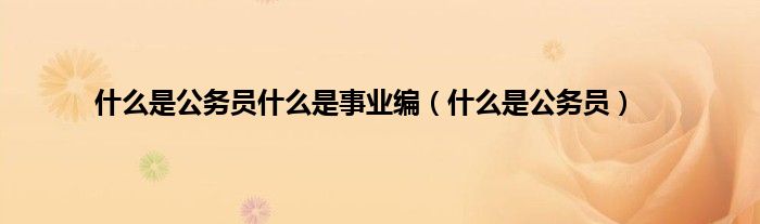 什么是公务员什么是事业编（什么是公务员）