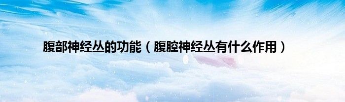 腹部神经丛的功能（腹腔神经丛有什么作用）