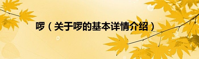 啰（关于啰的基本详情介绍）