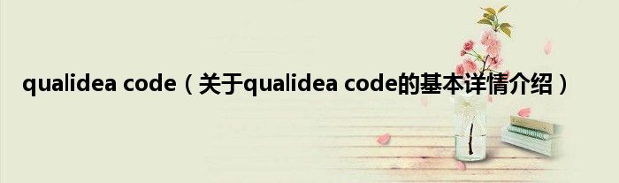 qualidea code（关于qualidea code的基本详情介绍）
