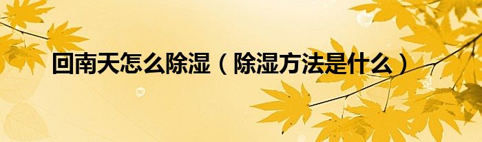 回南天怎么除湿（除湿方法是什么）