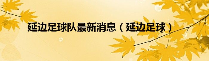 延边足球队最新消息（延边足球）