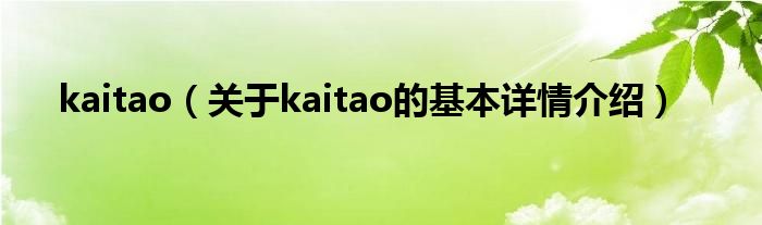 kaitao（关于kaitao的基本详情介绍）