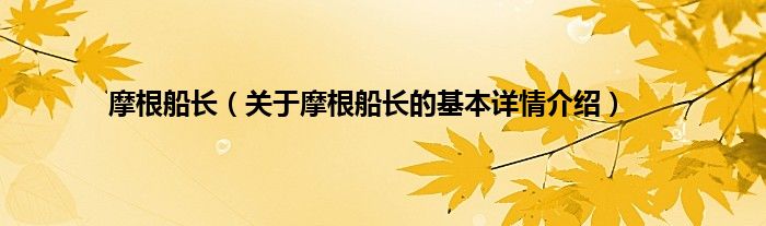 摩根船长（关于摩根船长的基本详情介绍）
