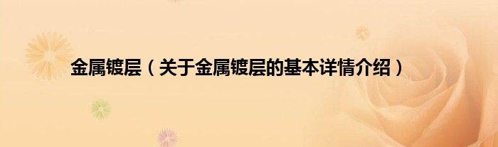金属镀层（关于金属镀层的基本详情介绍）