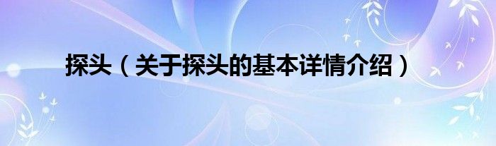 探头（关于探头的基本详情介绍）
