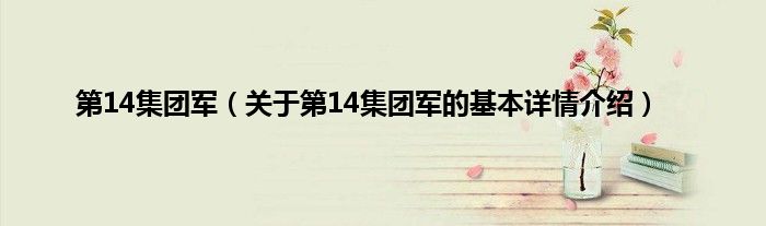 第14集团军（关于第14集团军的基本详情介绍）