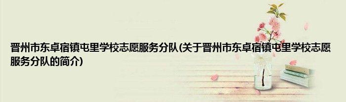 晋州市东卓宿镇屯里学校志愿服务分队(关于晋州市东卓宿镇屯里学校志愿服务分队的简介)