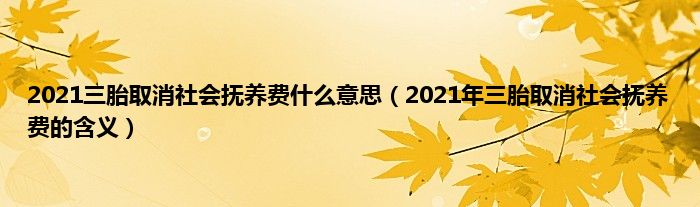 2021三胎取消社会抚养费什么意思（2021年三胎取消社会抚养费的含义）