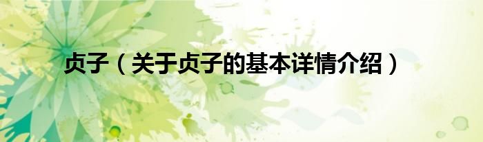 贞子（关于贞子的基本详情介绍）