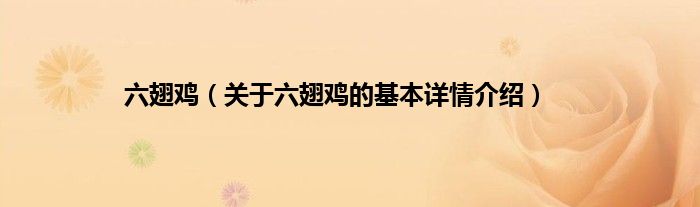 六翅鸡（关于六翅鸡的基本详情介绍）