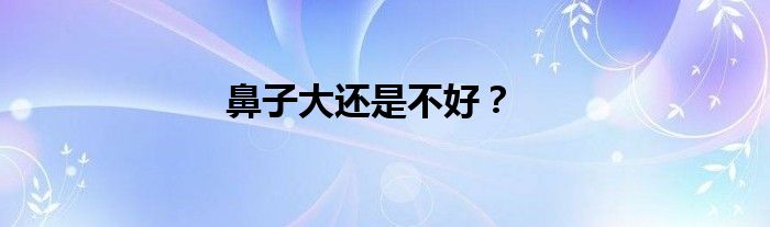 鼻子大还是不好？