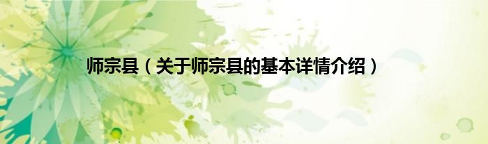 师宗县（关于师宗县的基本详情介绍）