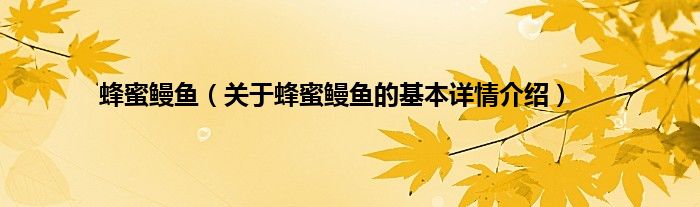 蜂蜜鳗鱼（关于蜂蜜鳗鱼的基本详情介绍）