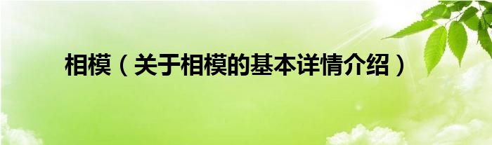 相模（关于相模的基本详情介绍）