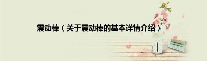 震动棒（关于震动棒的基本详情介绍）