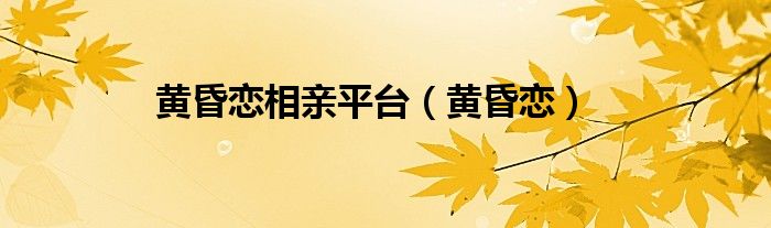 黄昏恋相亲平台（黄昏恋）