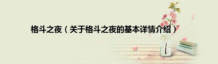 格斗之夜（关于格斗之夜的基本详情介绍）