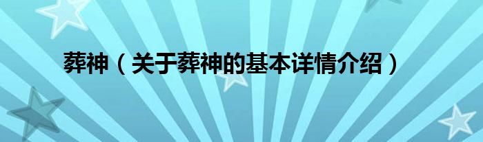 葬神（关于葬神的基本详情介绍）