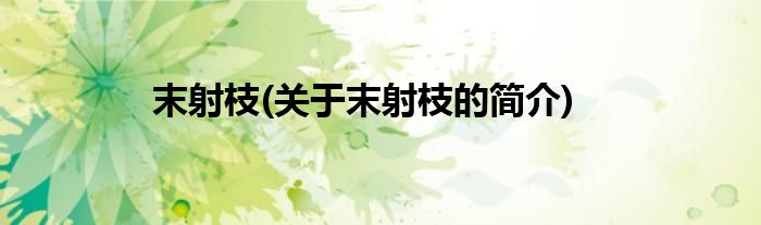 末射枝(关于末射枝的简介)