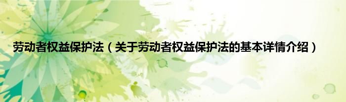 劳动者权益保护法（关于劳动者权益保护法的基本详情介绍）