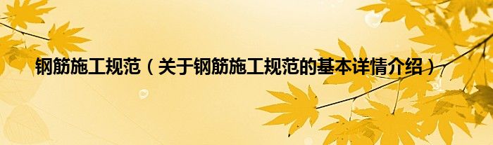 钢筋施工规范（关于钢筋施工规范的基本详情介绍）