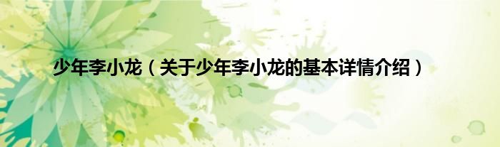 少年李小龙（关于少年李小龙的基本详情介绍）