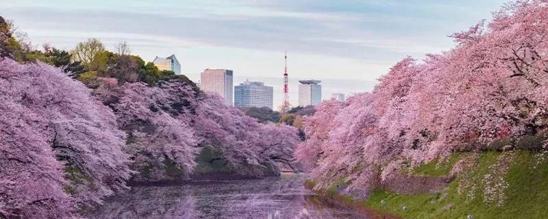 日本是主权国家吗