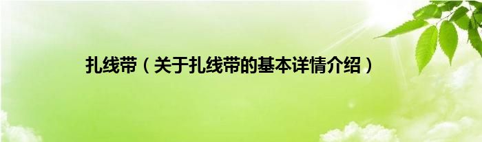 扎线带（关于扎线带的基本详情介绍）