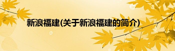 新浪福建(关于新浪福建的简介)