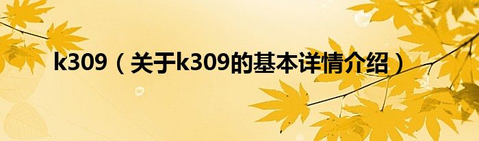k309（关于k309的基本详情介绍）