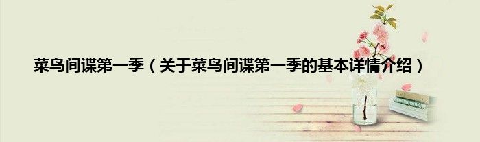 菜鸟间谍第一季（关于菜鸟间谍第一季的基本详情介绍）