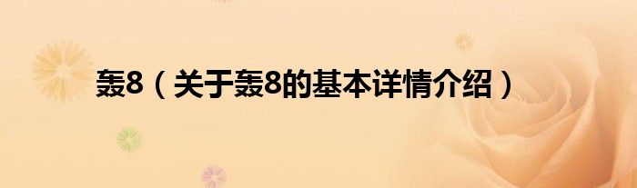 轰8（关于轰8的基本详情介绍）