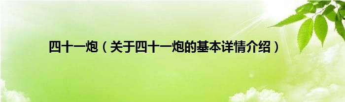 四十一炮（关于四十一炮的基本详情介绍）