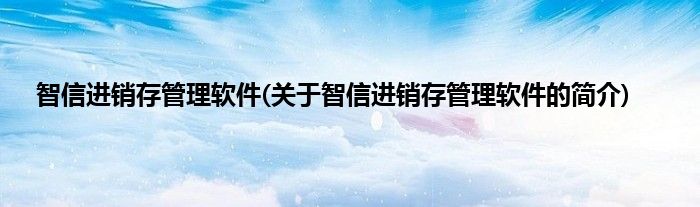 智信进销存管理软件(关于智信进销存管理软件的简介)