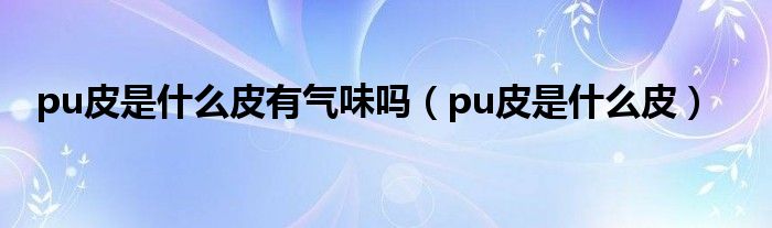 pu皮是什么皮有气味吗（pu皮是什么皮）
