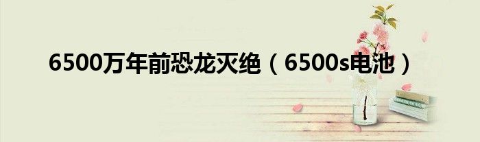 6500万年前恐龙灭绝（6500s电池）