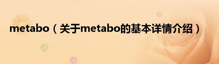 metabo（关于metabo的基本详情介绍）