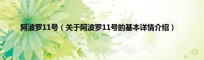阿波罗11号（关于阿波罗11号的基本详情介绍）